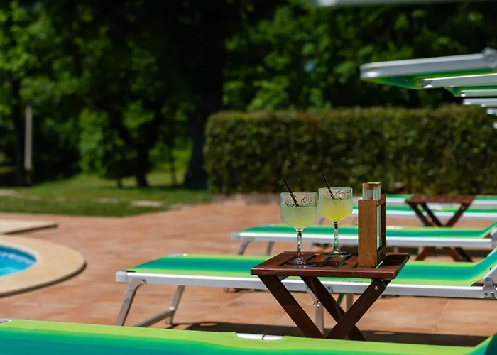 Vila Rustic Catarina With Pool In Tinjan *