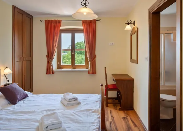 Vila Rustic Catarina With Pool In Tinjan *