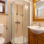 Vila Rustic Catarina With Pool In Tinjan *